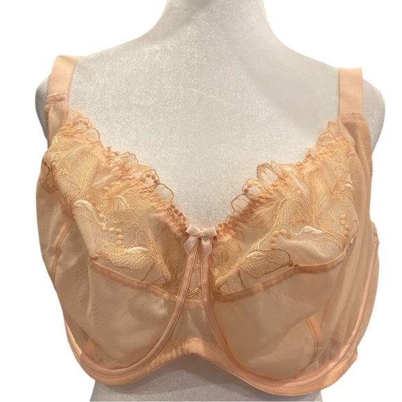 Understance Peachy Sheer Embroidered Bra 40I | Peach Lace Lingerie - Picture 3 of 8